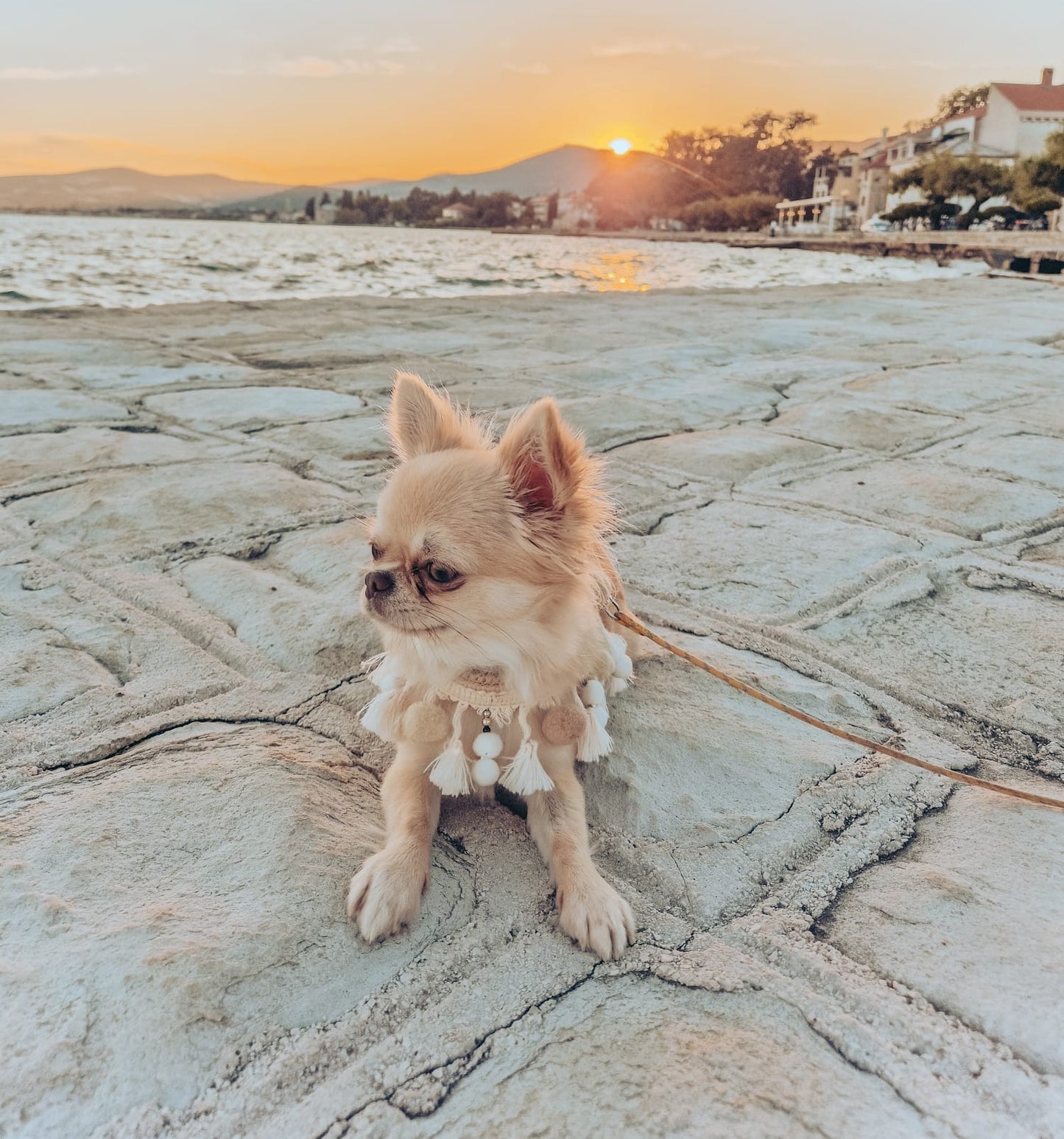 BOHO Chow-Chow Geschirr beige