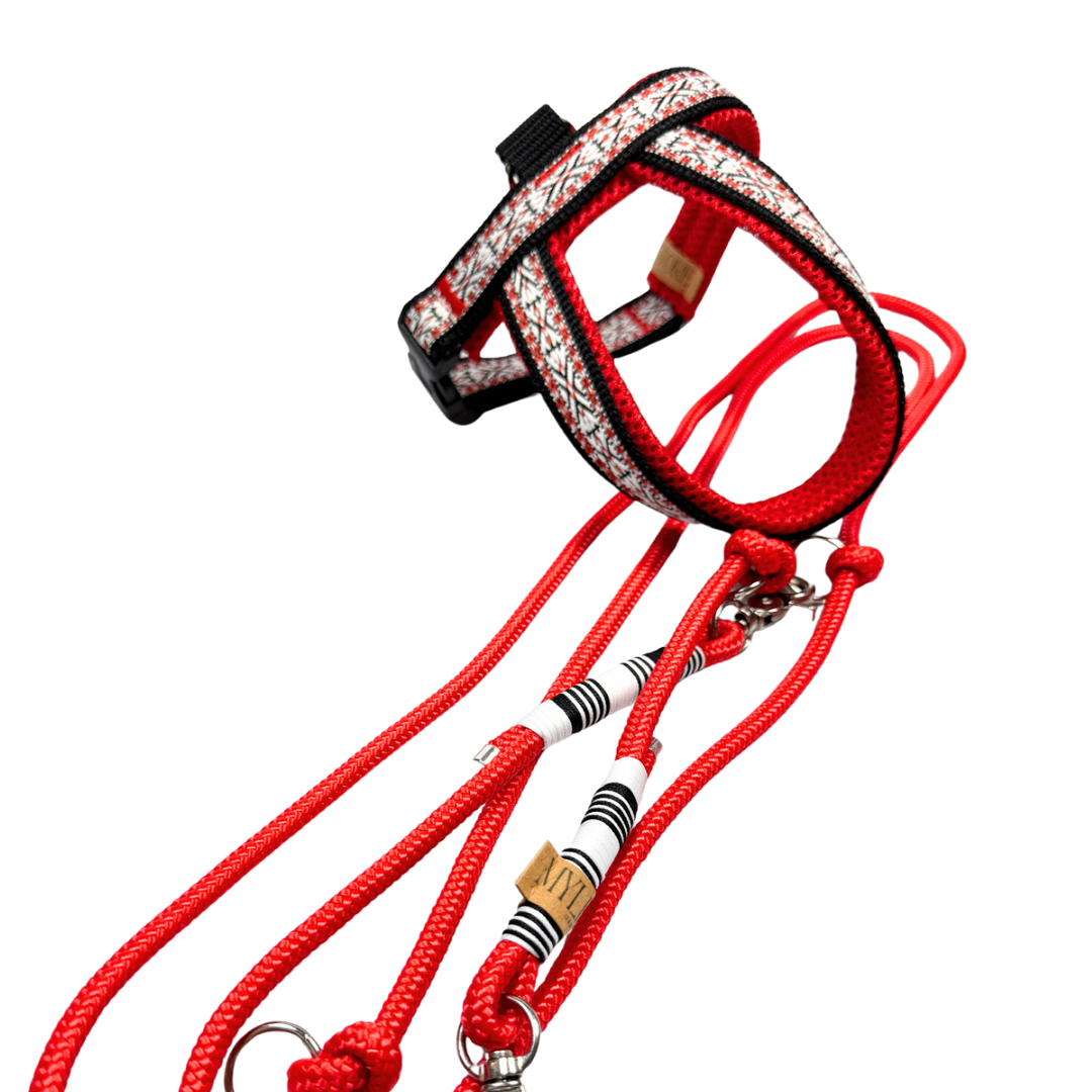 Tauleine Classic rot,schwarz