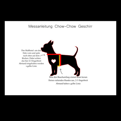 Leo Chow-Chow karamell,dunkelbraun