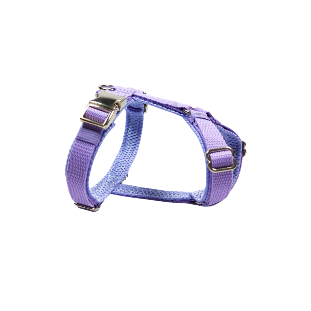 Y-Geschirr Classic Lavender