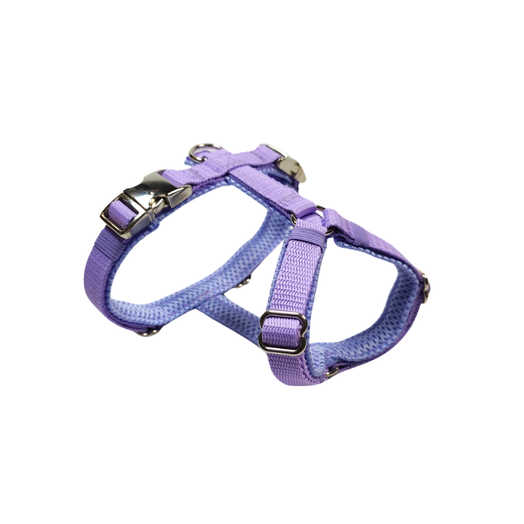 Y-Geschirr Classic Lavender