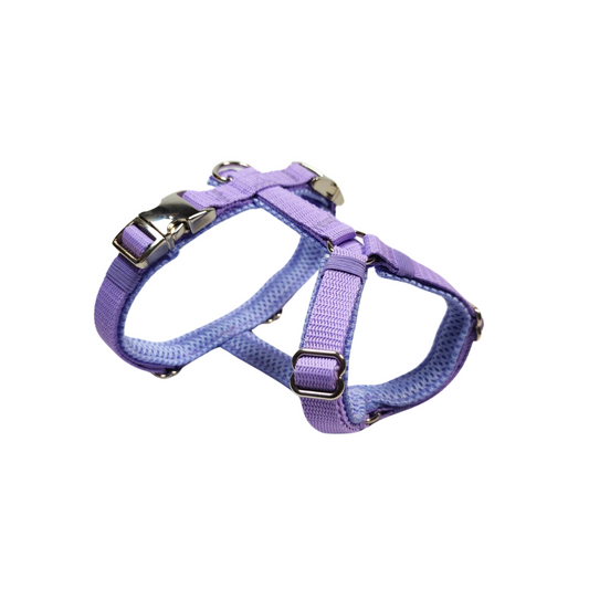 Y-Geschirr Classic Lavender
